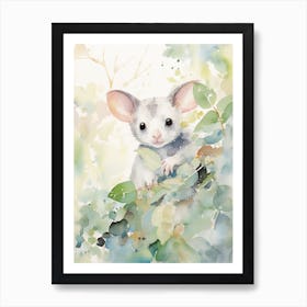 Light Watercolor Painting Of A Eucalyptus Loving Possum 4 Art Print