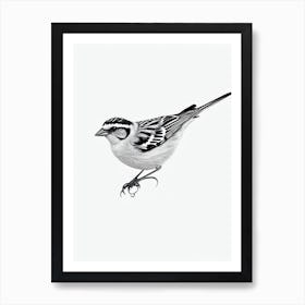 Sparrow B&W Pencil Drawing 2 Bird Art Print