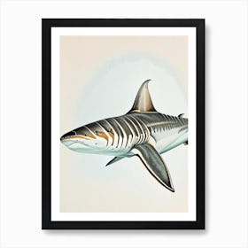 Tiger Shark Vintage Art Print