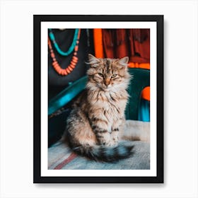 Cat Marocco in the mountains | Street Travel photography Art Print