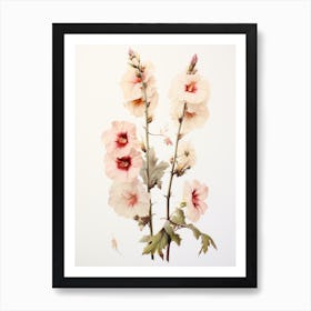 Pressed Flower Botanical Art Hollyhock 1 Art Print