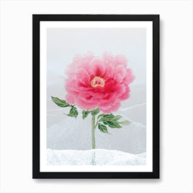 Chinese Beach Peony Canvas Art Print