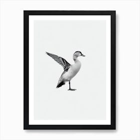 Duck B&W Pencil Drawing 1 Bird Art Print