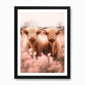 Portrait Of Two Highland Cows In The Field Pink Realistic Photography 3 Art Print