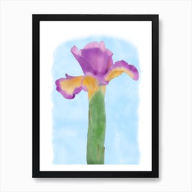 Iris Flower #1 Art Print