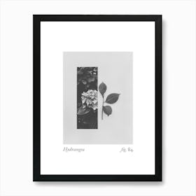 Hydrangea Botanical Collage 2 Art Print