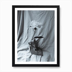 Vintage Flower Still Life Art Print