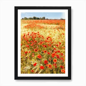 Poppy flowers in barley field Art Print