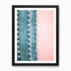 Cactus And Pink Wall Art Print