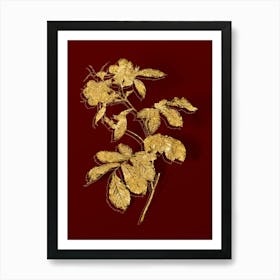 Vintage Pink Alpine Roses Botanical in Gold on Red n.0205 Art Print