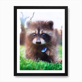 Racoon And Blue Butterfly In Green Grass Art Print