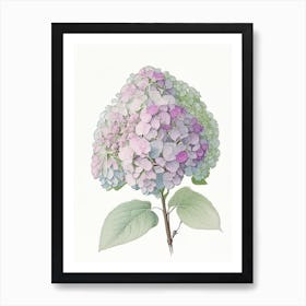 Hydrangea Floral Quentin Blake Inspired Illustration 2 Flower Art Print