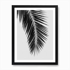 Palm Leaf Bw I Art Print
