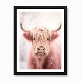 Pink Tones Of Highland Cow In The Snow Art Print