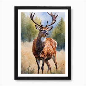 Red Deer Art Print