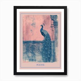 Pink & Blue Peacock In A Palace Poster Art Print