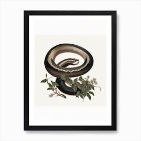 Black Mamba Snake Vintage Art Print