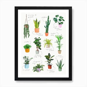 Plants Art Print