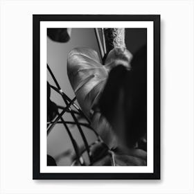 Monstera Art Print