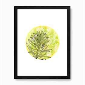 Euphorbia On Green And Yellow Art Print