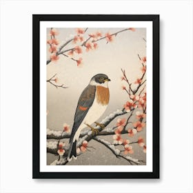 Bird Illustration Eurasian Sparrowhawk 1 Art Print