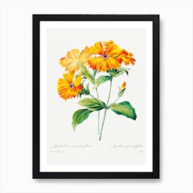 Lychnis Grandiflora, Pierre Joseph Redouté Art Print