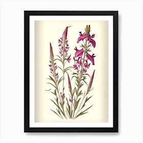 Fireweed Wildflower Vintage Botanical 1 Art Print