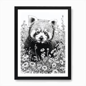 Red Panda Cub In A Field Of Flowers Ink Illustration 1 Art Print