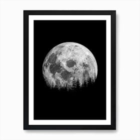 Forest At Night Art Print