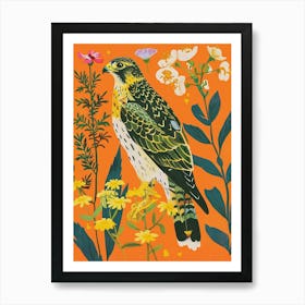 Spring Birds Falcon 1 Art Print