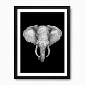 Elephant On Black Art Print