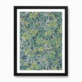 Exotic Species tree Vintage Botanical Art Print