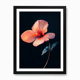 Hibiscus Flower 6 Art Print