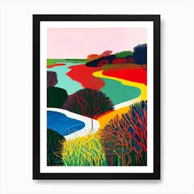 Everglades National Park 1 United States Of America Abstract Colourful Art Print