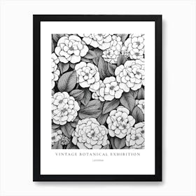 Lantana B&W Vintage Botanical Poster Art Print