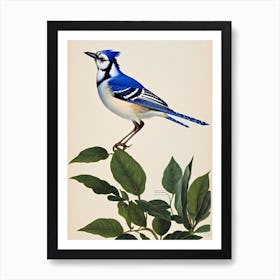 Blue Jay James Audubon Vintage Style Bird Art Print