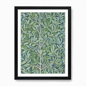Olive tree Vintage Botanical Art Print