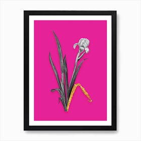 Vintage Crimean Iris Black and White Gold Leaf Floral Art on Hot Pink n.0144 Art Print