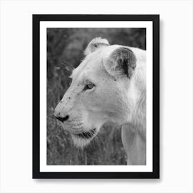 White Lion Female Art Print
