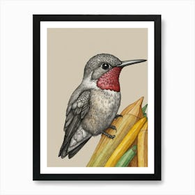 Hummingbird 37 Art Print