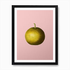 Vintage Adam's Apple Botanical on Soft Pink n.0402 Art Print