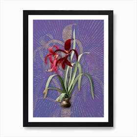 Vintage Sprekelia Botanical Illustration on Veri Peri n.0943 Art Print