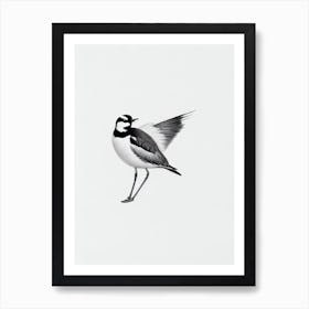 Lapwing B&W Pencil Drawing 1 Bird Art Print