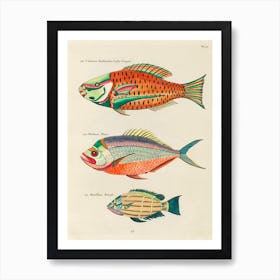 Colourful And Surreal Illustrations Of Fishes Found In Moluccas (Indonesia) And The East Indies, Louis Renard(2) Art Print