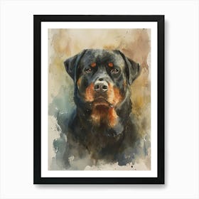 Rottweiler Watercolor Painting 4 Art Print