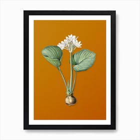 Vintage Cardwell Lily Botanical on Sunset Orange n.0774 Art Print
