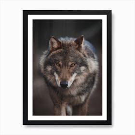 Wilderness Wolf Art Print