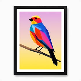 Colourful Geometric Bird Cowbird 2 Art Print