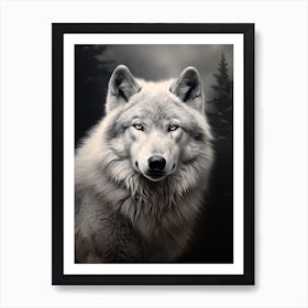 Himalayan Wolf Portrait Black And White 3 Art Print