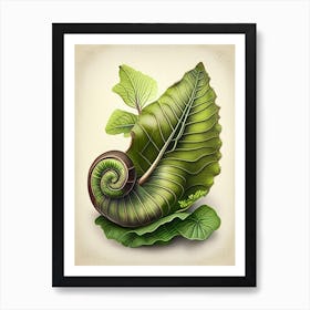 Garden Snail On A Leaf 1 Botanical Art Print